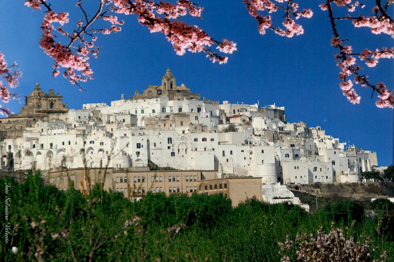 Villa Casa Carlotta Ostuni Exterior foto